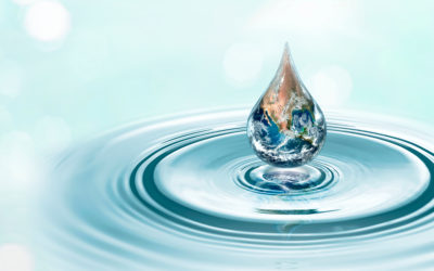 Wasser – Essenz des Lebens